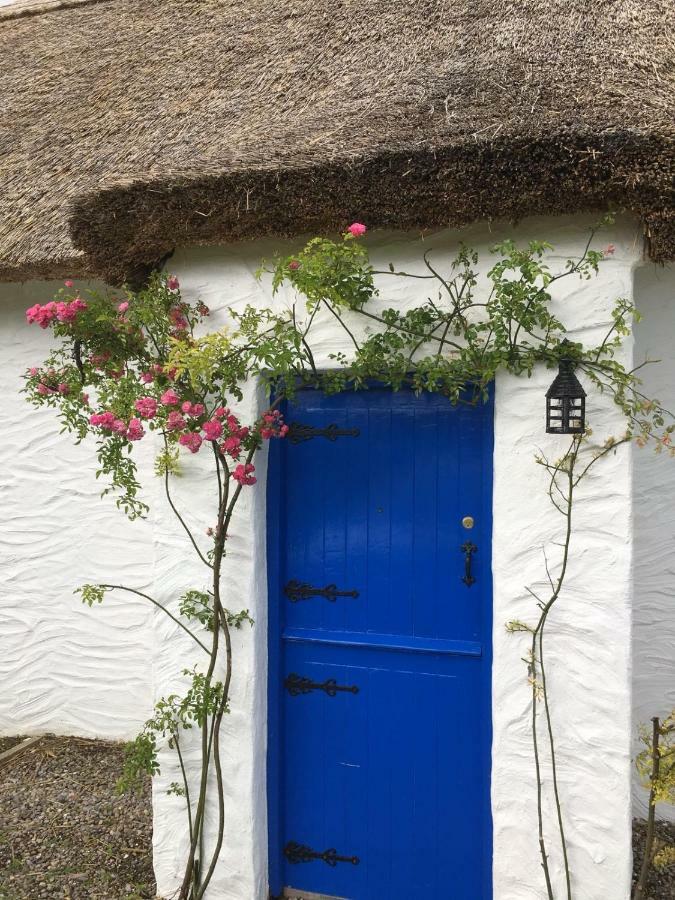 Holiday Home,854422358:JPEG